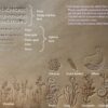 Trifold for Pocket / passport size - Image 8