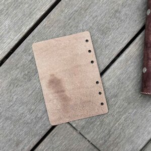 Single-Layer Flyleaf